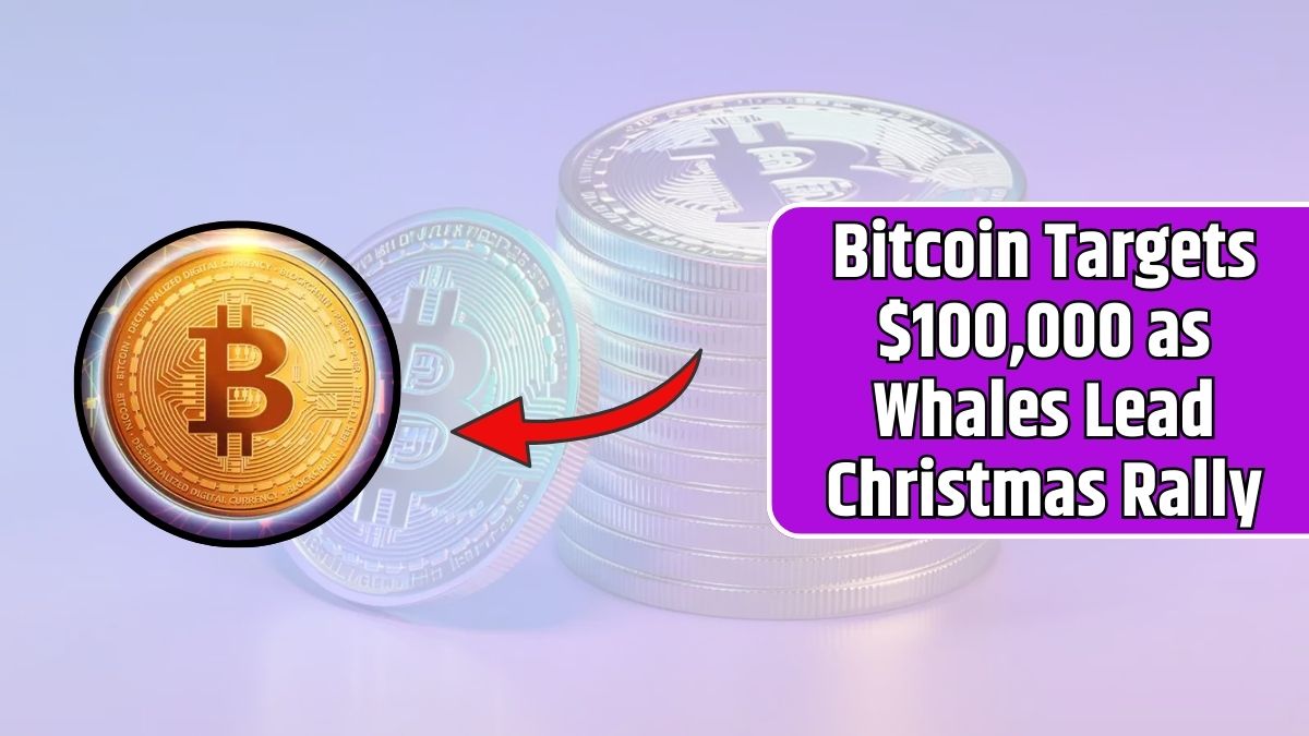 Bitcoin Targets $100,000 as Whales Lead Christmas Rally