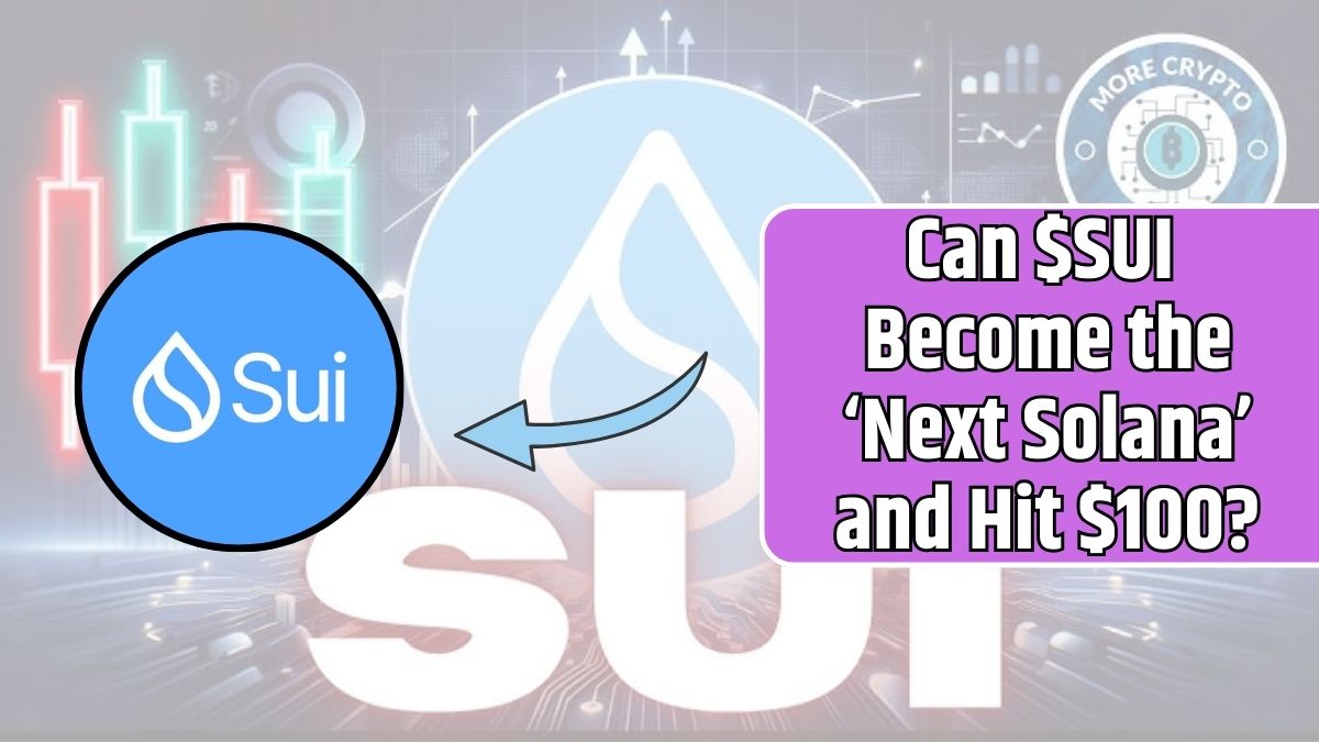 Can $SUI Become the ‘Next Solana’ and Hit $100