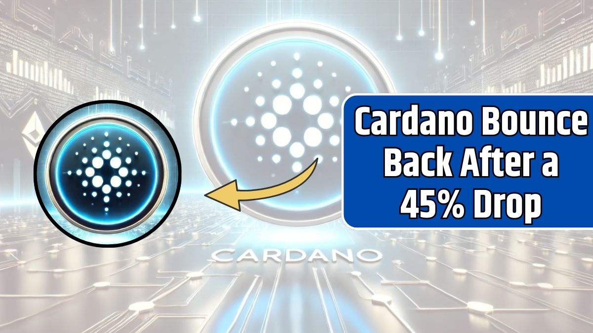 Cardano Bounce Back After a 45% Drop