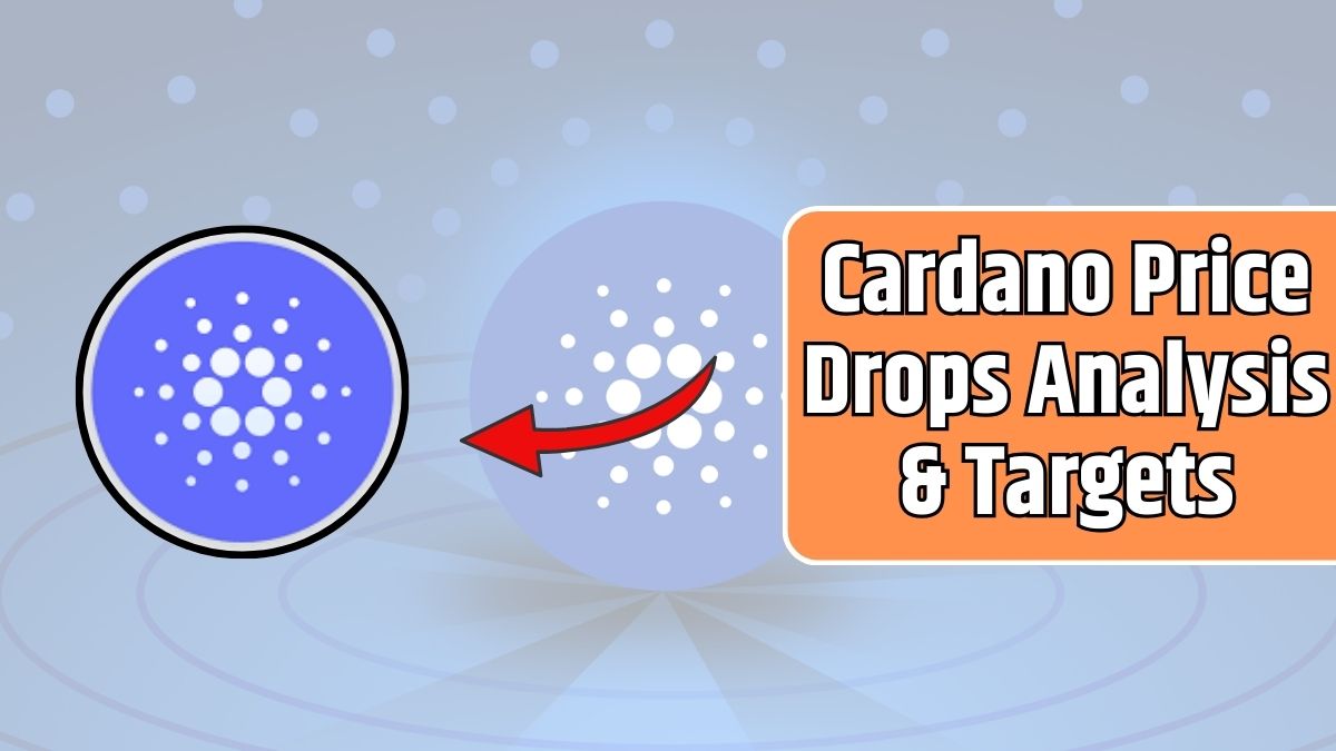 Cardano Price Drops Analysis & Targets