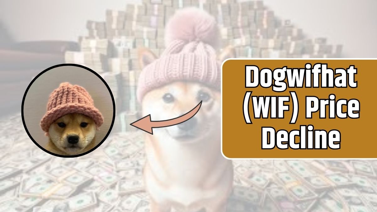 Dogwifhat (WIF) Price Decline