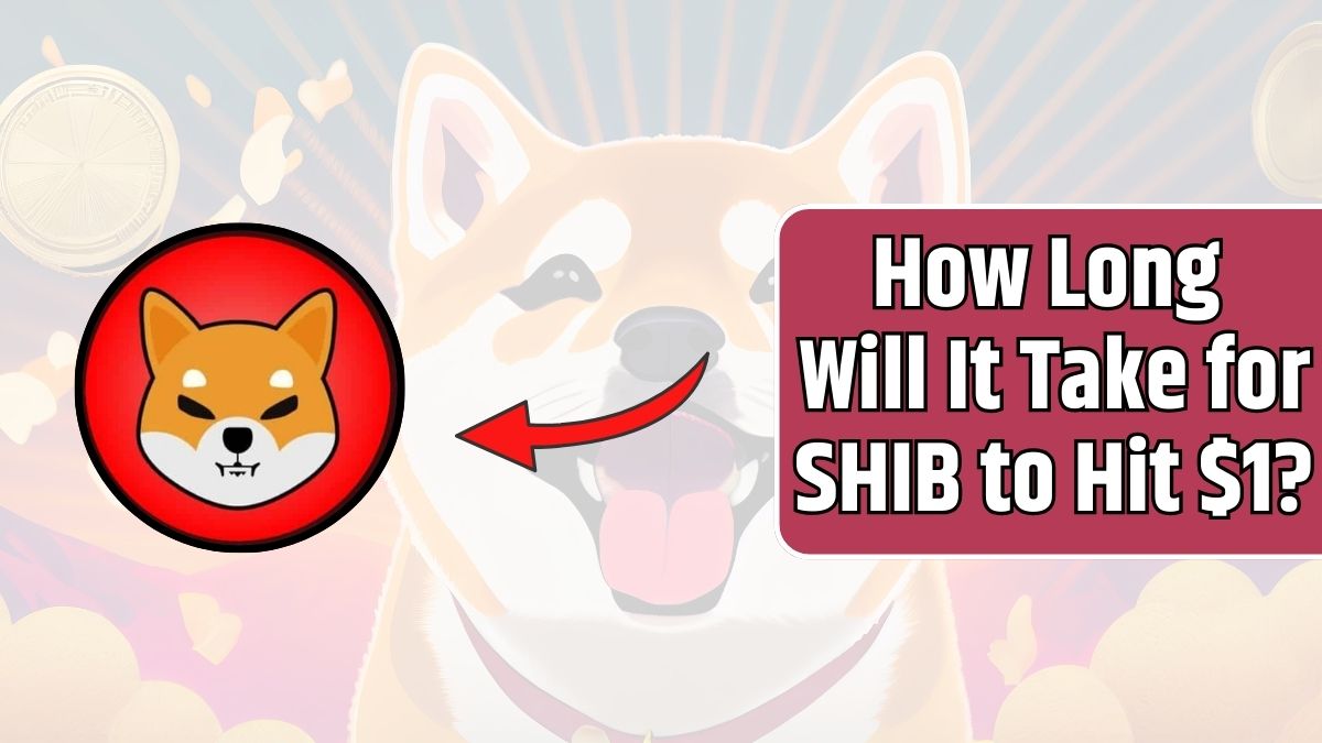 How Long Will It Take for SHIB to Hit $1?