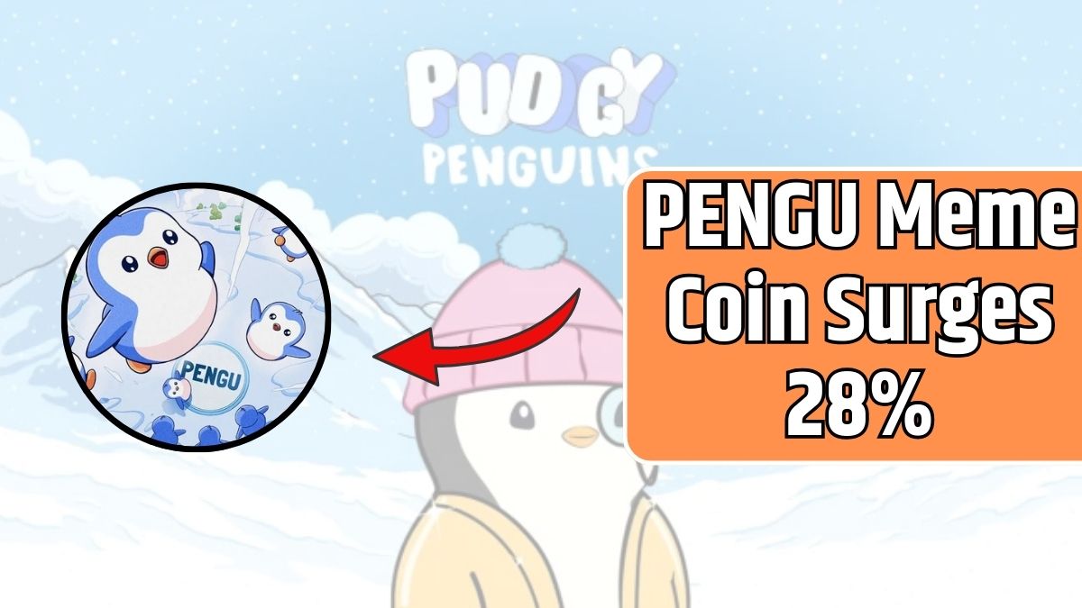 PENGU Meme Coin Surges 28%