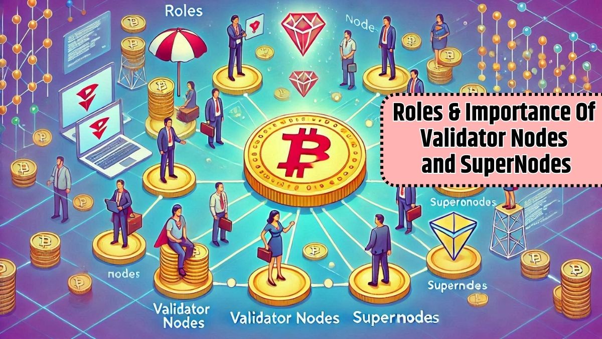 Roles & Importance Of Validator Nodes and SuperNodes