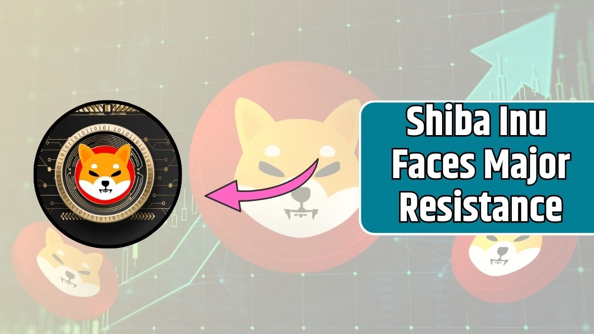 Shiba Inu Faces Major Resistance