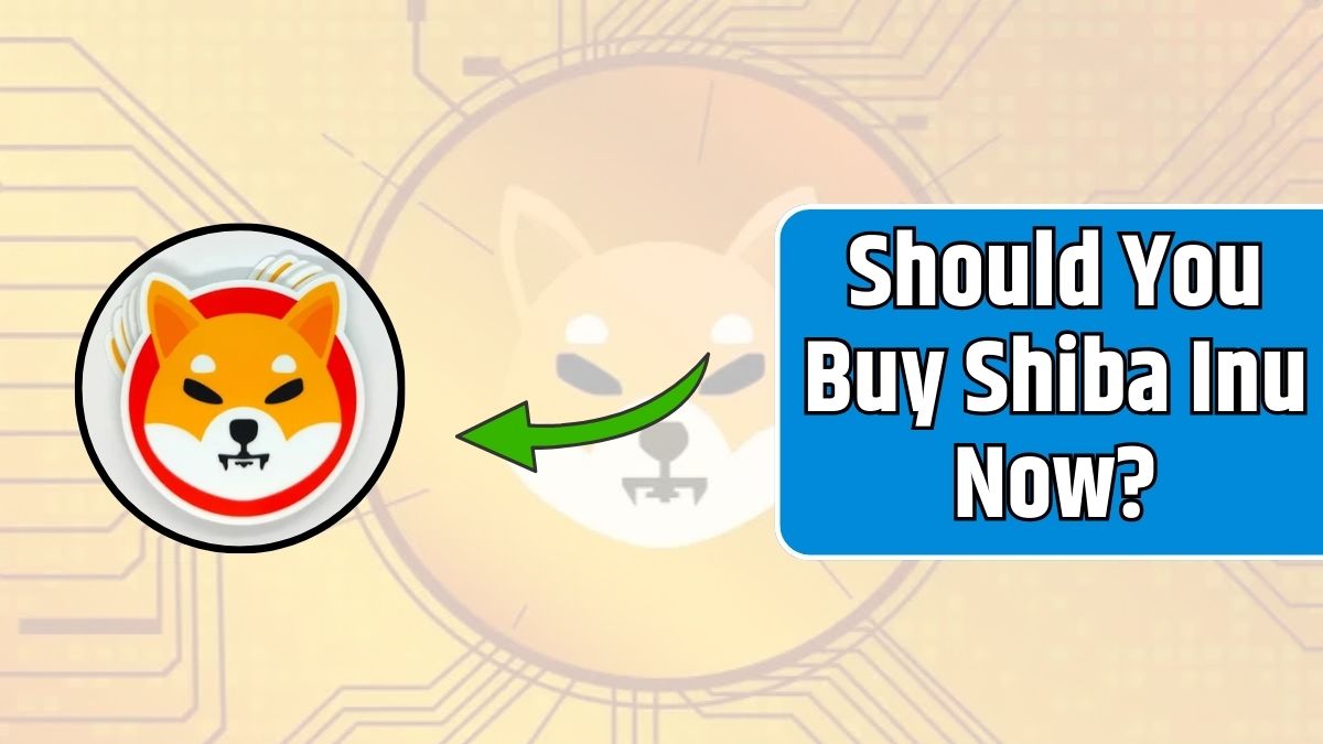 Should You Buy Shiba Inu Now?