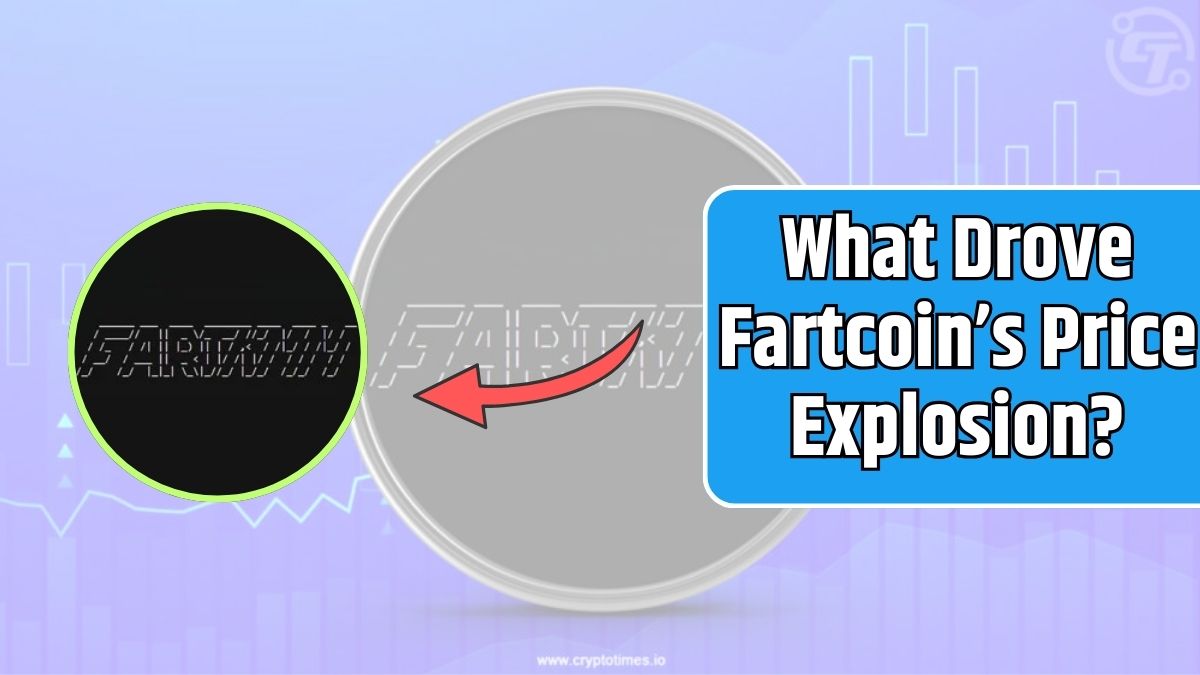 What Drove Fartcoin’s Price Explosion?