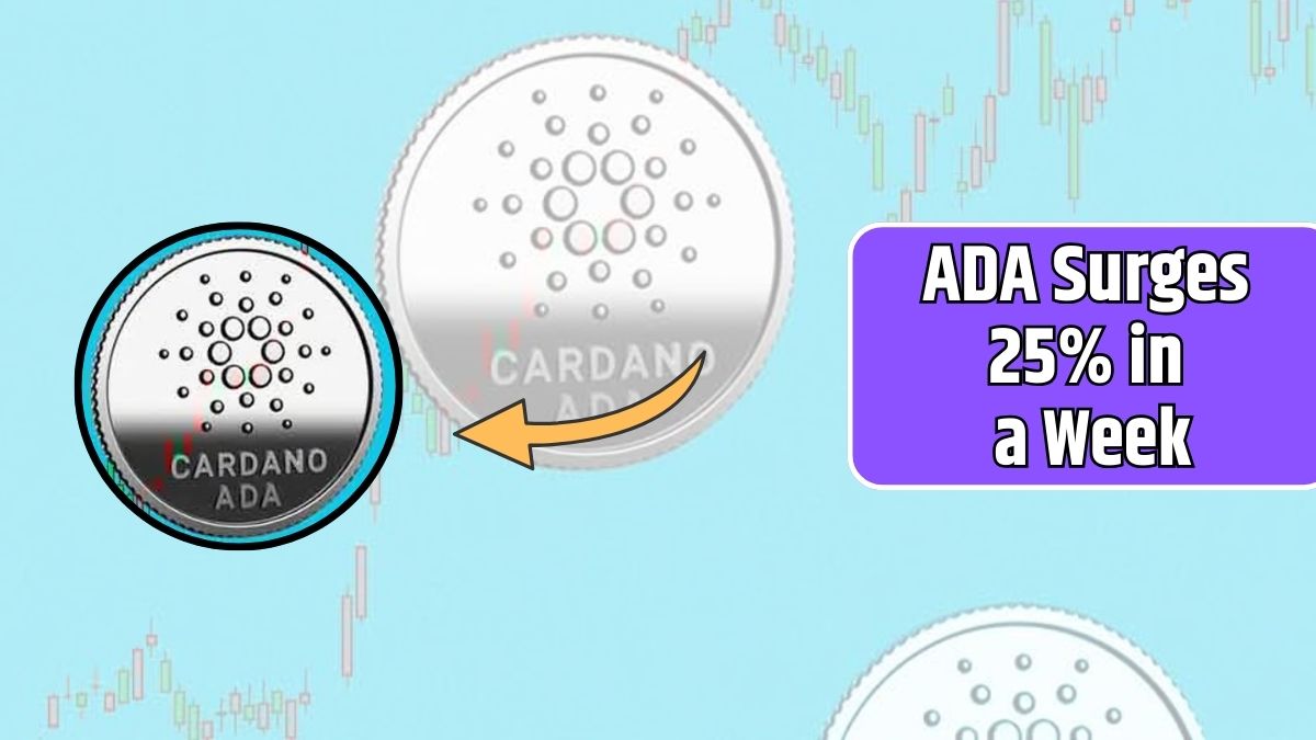 ADA Surges 25% in a Week