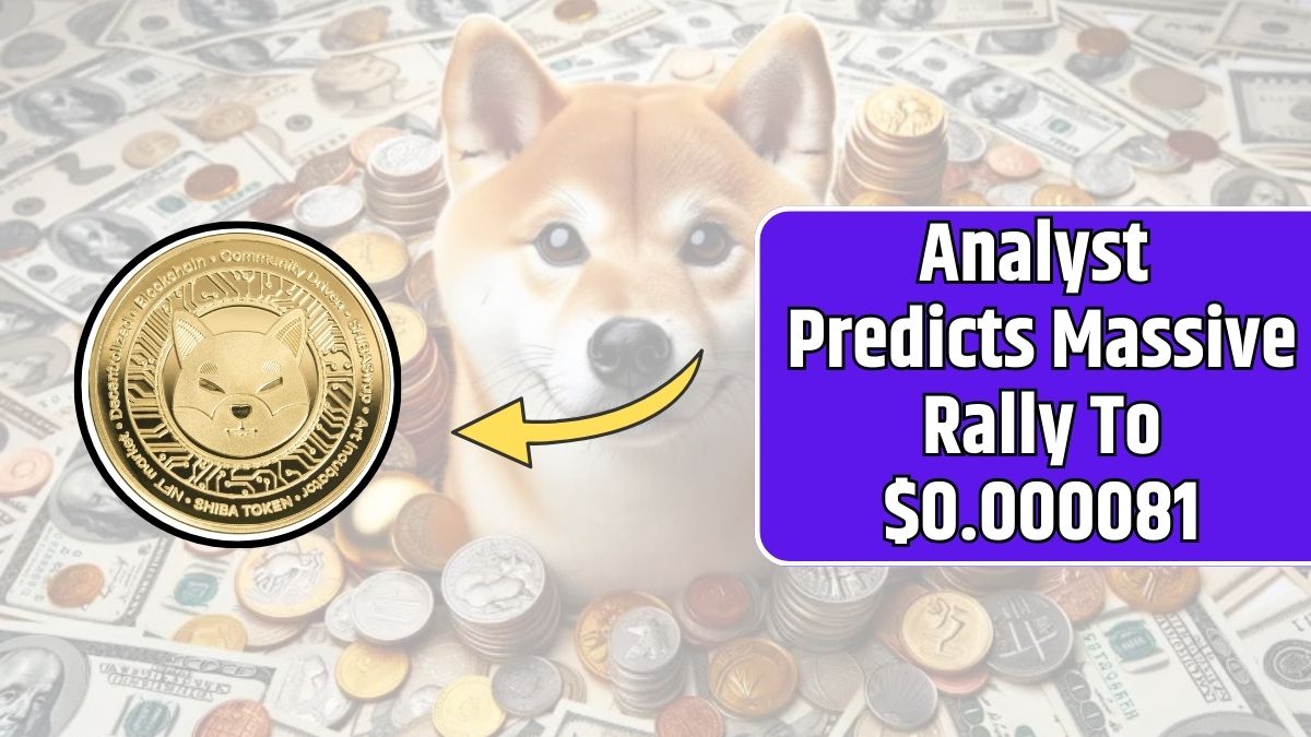 Analyst Predicts Massive Rally To $0.000081