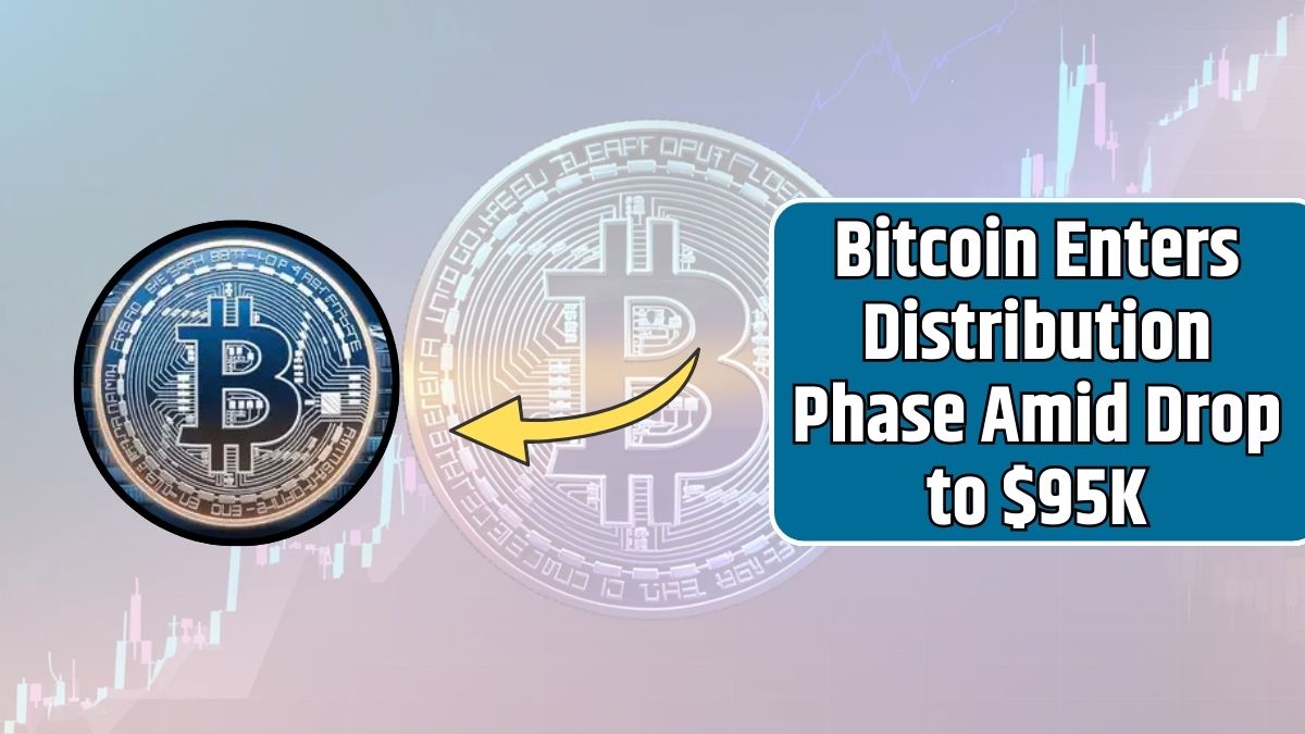 Bitcoin Enters Distribution Phase Amid Drop to $95K