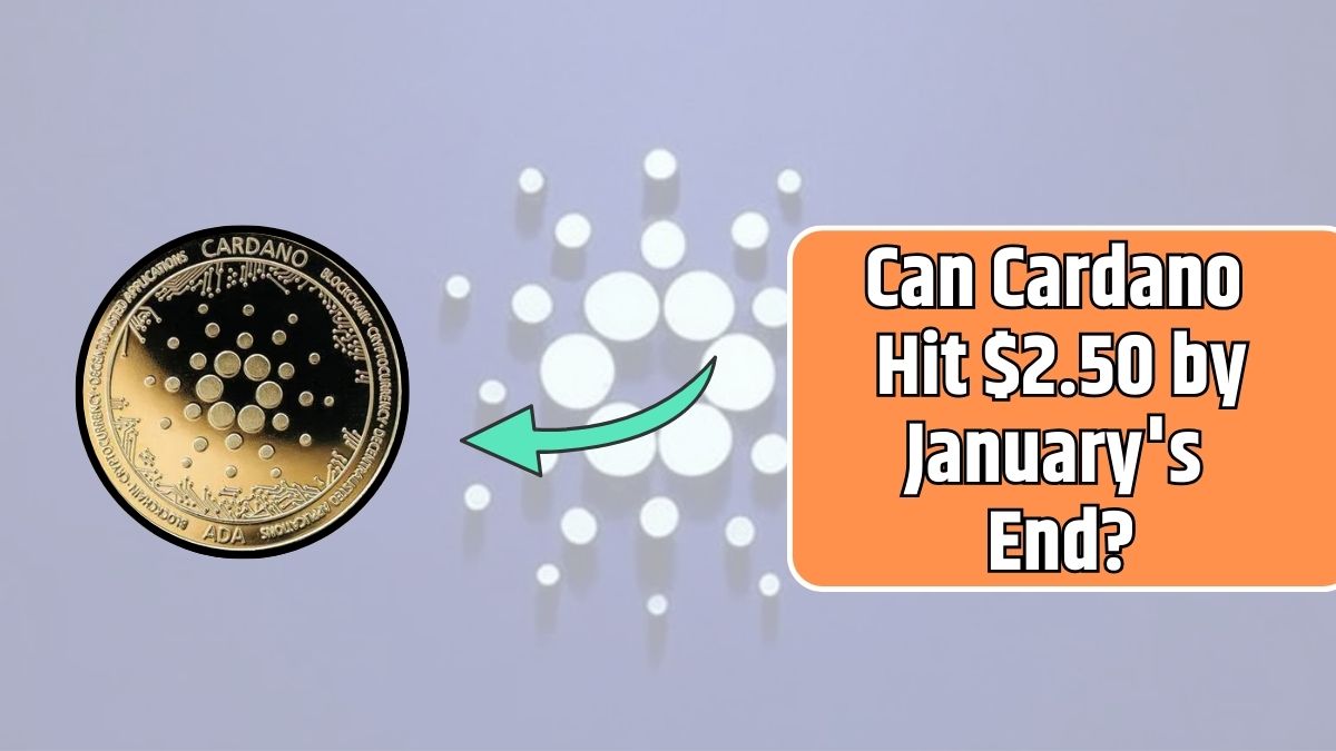 Cardano