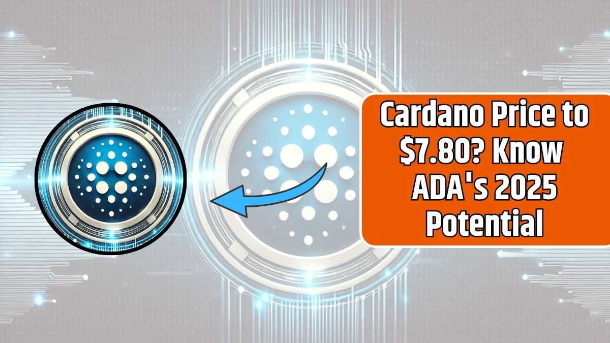 Cardano