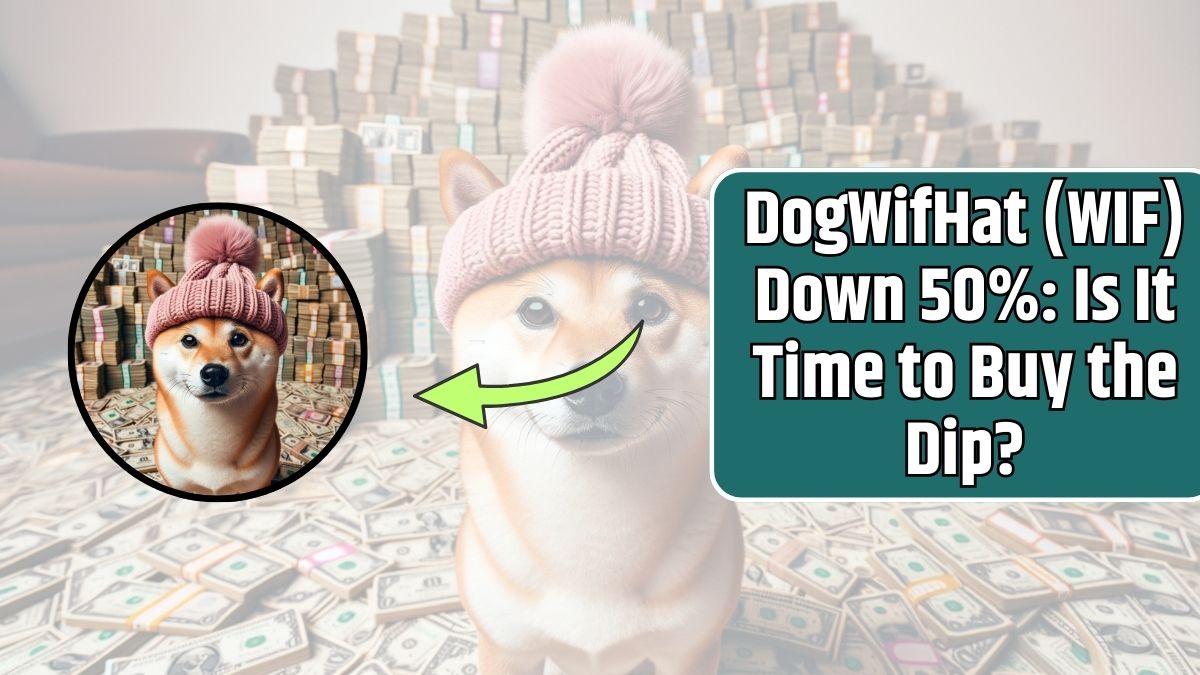 DogWifHat (WIF) Down 50% Is It Time to Buy the Dip