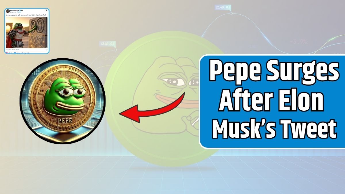 Pepe Surges After Elon Musk’s Tweet