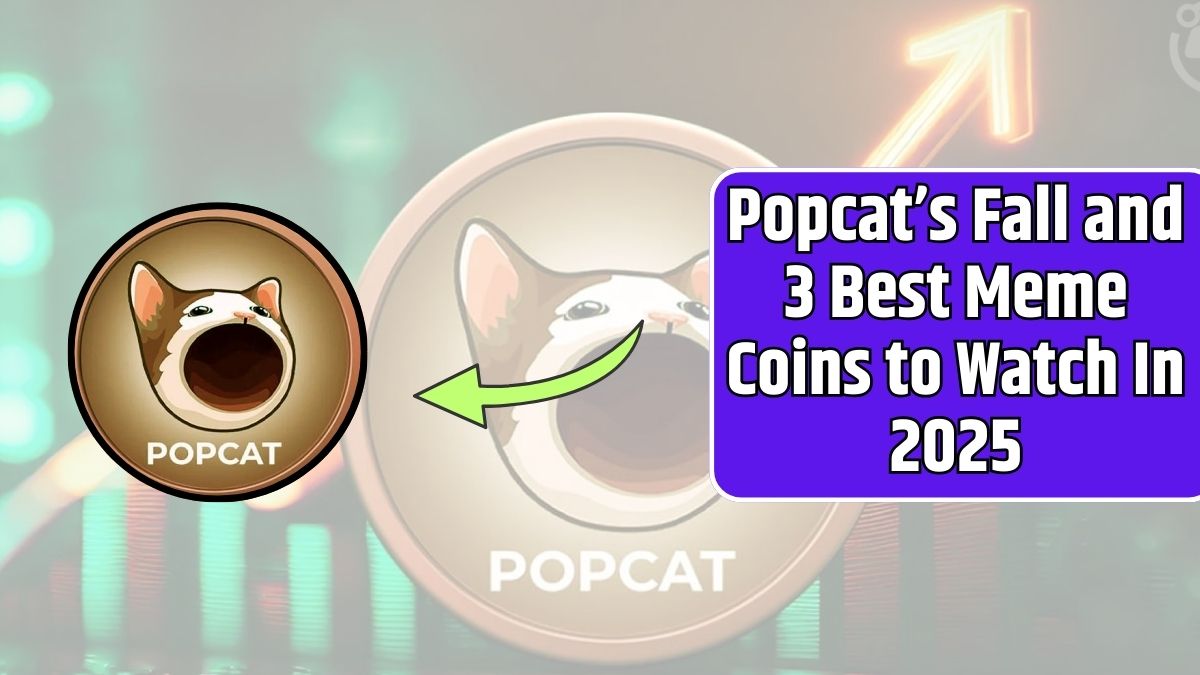 Popcat’s Fall and 3 Best Meme Coins to Watch In 2025