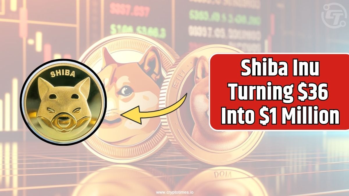 Shiba Inu Turning $36 Into $1 Million