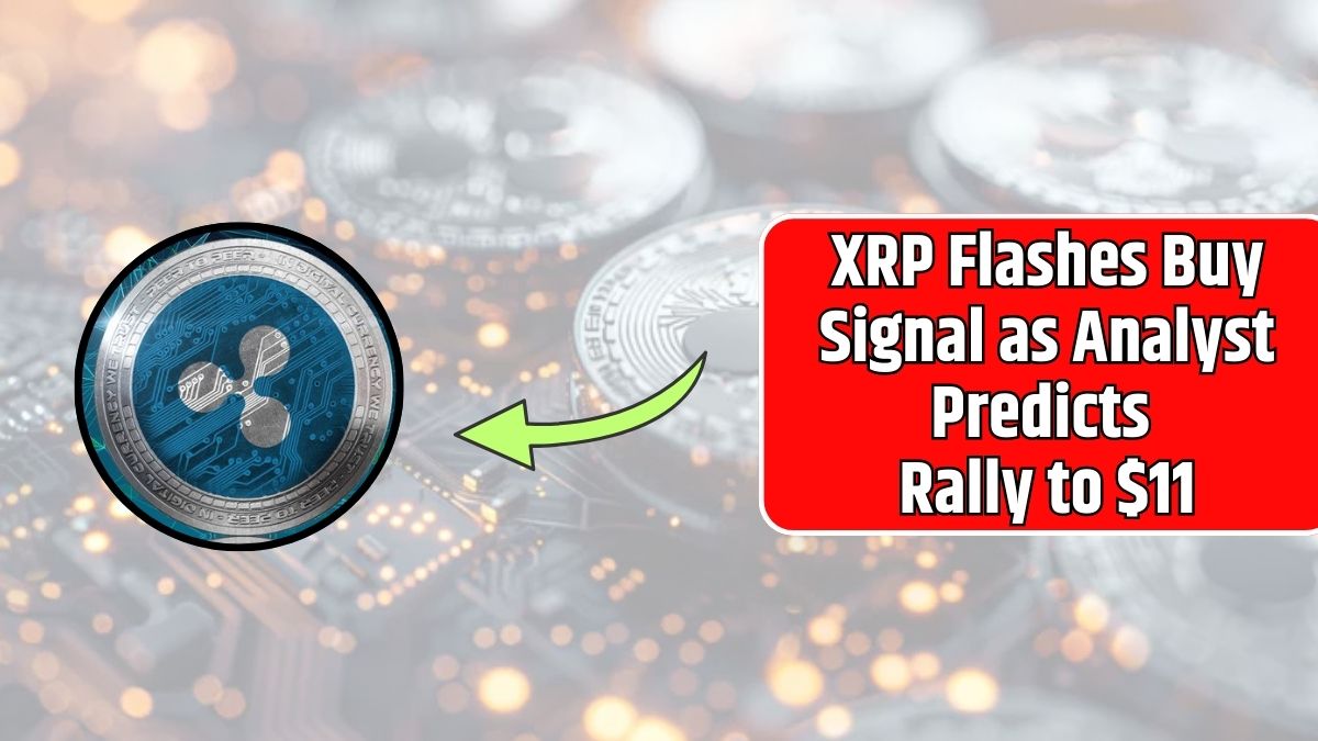 XRP Flashes Buy Signal as Analyst Predicts Rally to $11